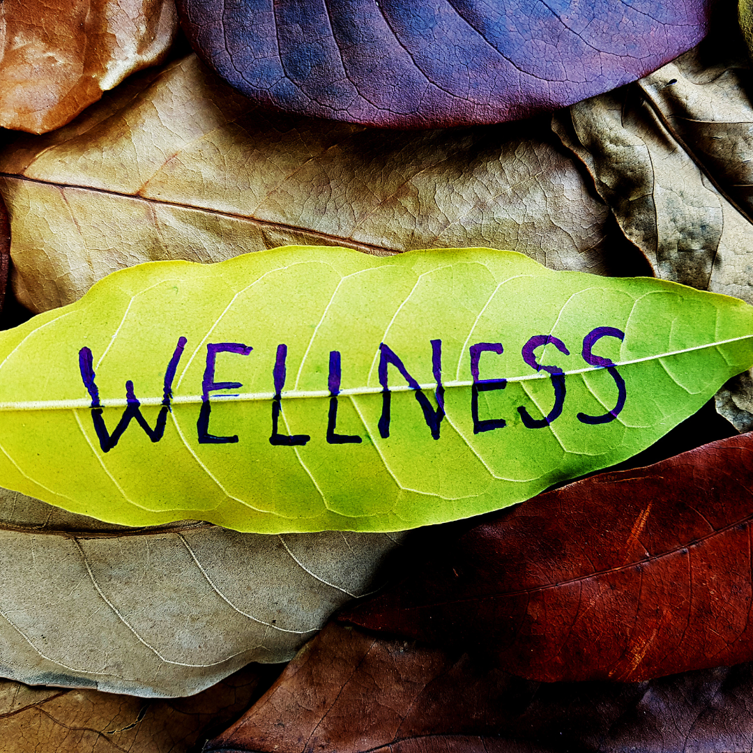 Definition of Wellness