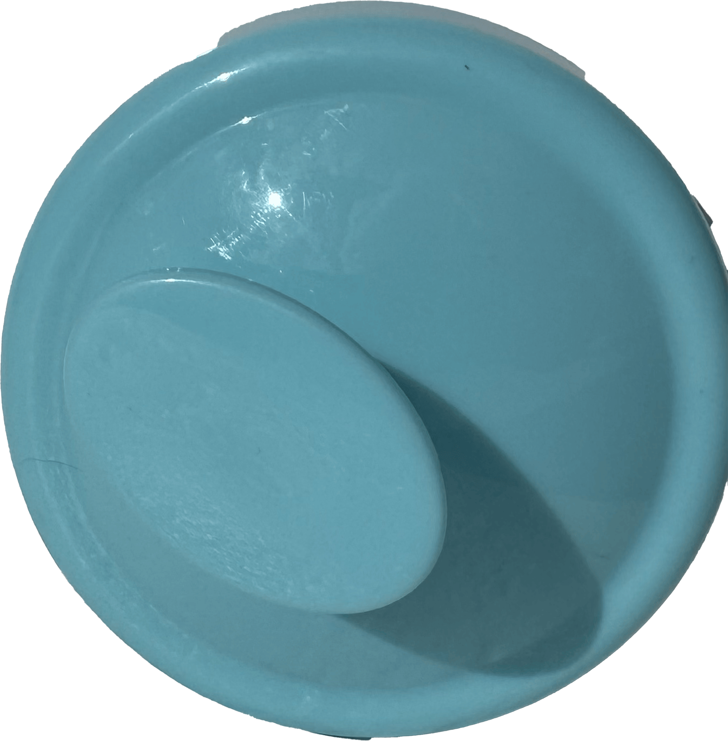 Scalp Brush
