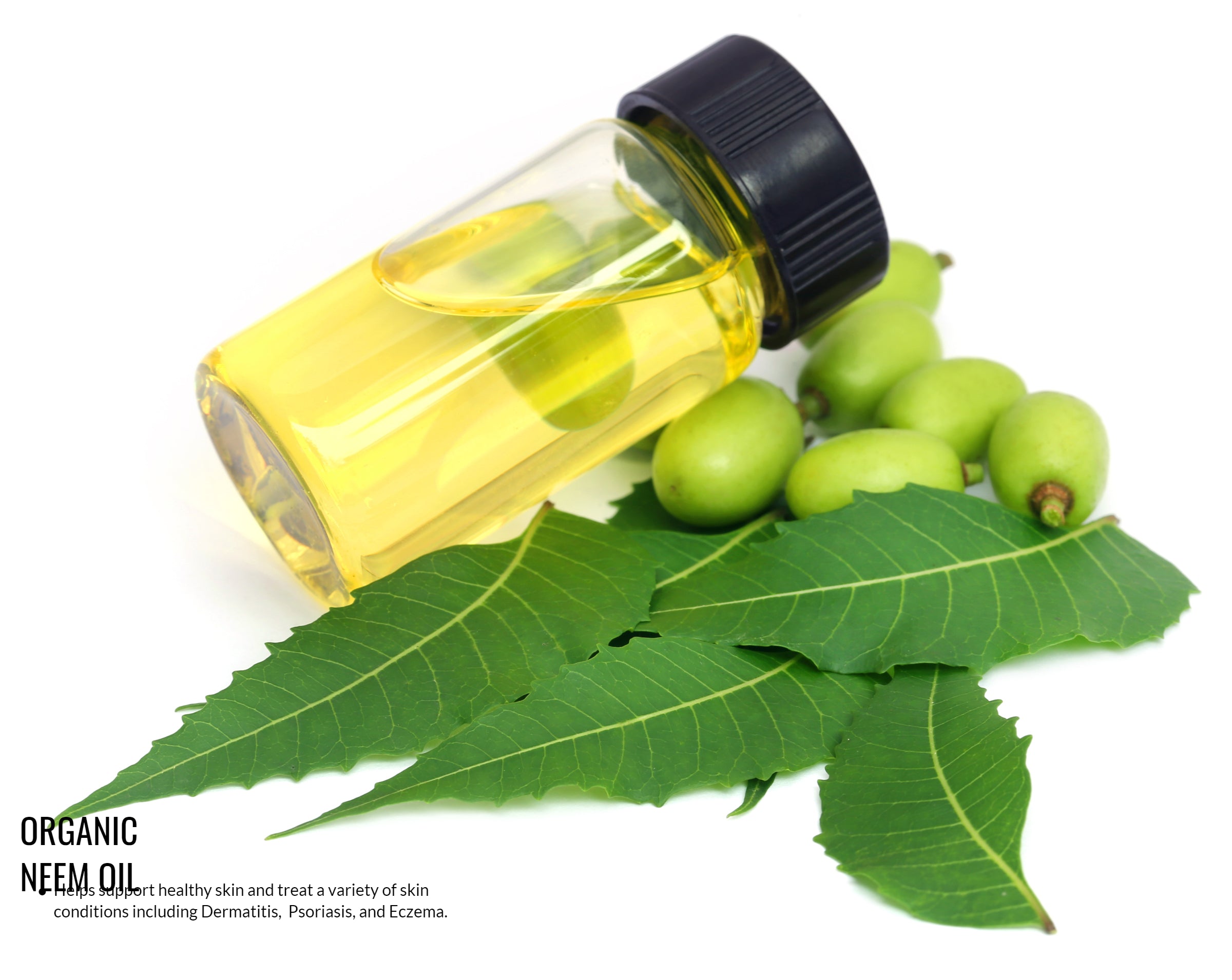 Nighttime Face Balancing Cream