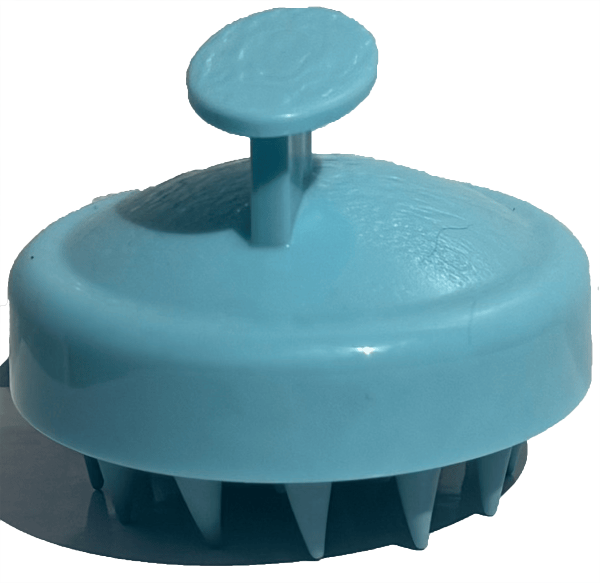 Scalp Brush
