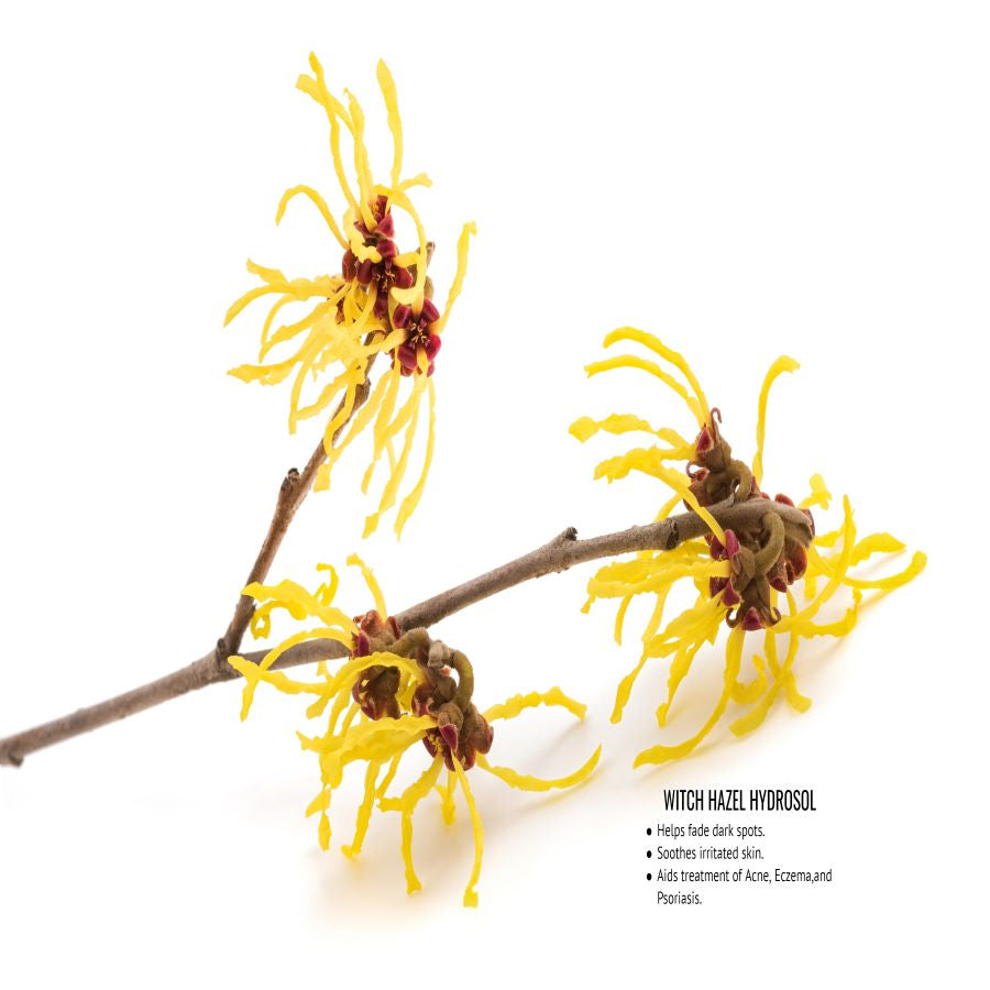 Gentle Facial Cleanser